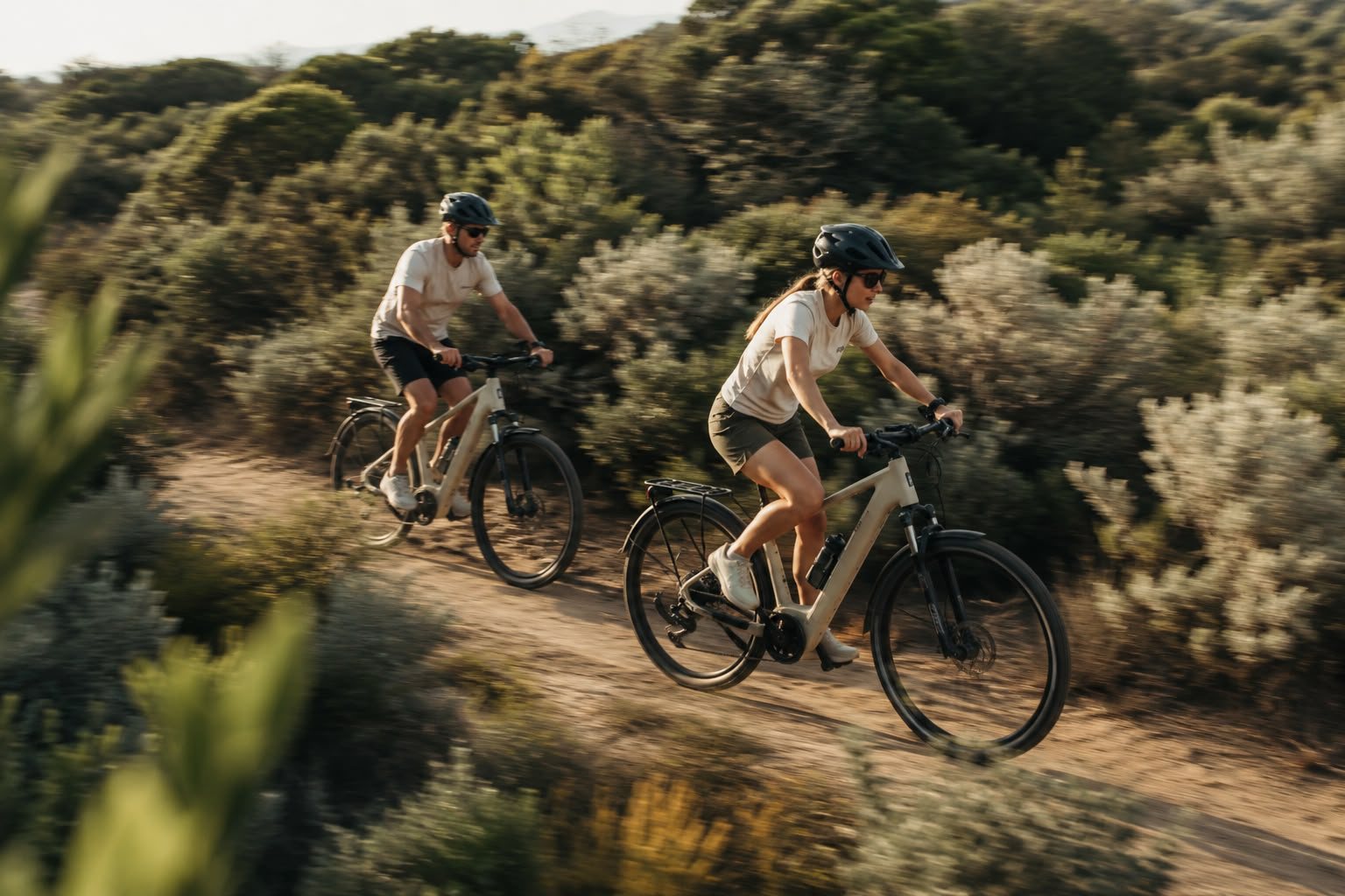 Bike Rental