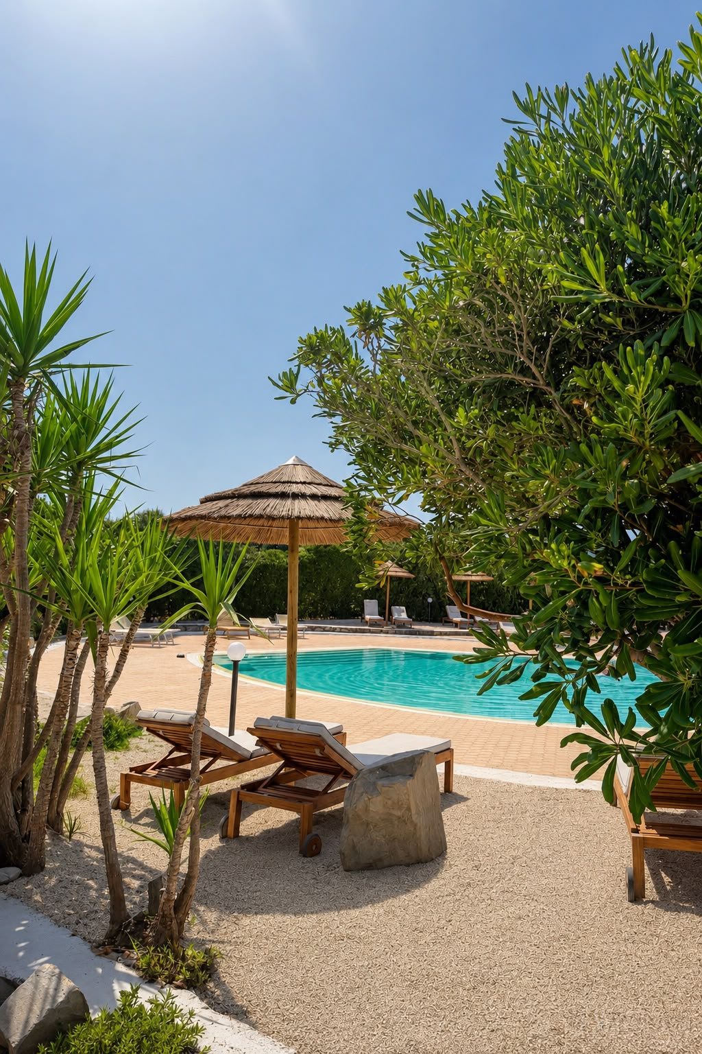 La palapa e il verde intorno alla piscina